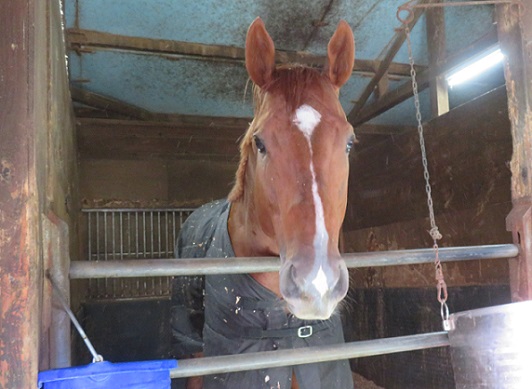 お知らせ隣町珈琲ブックレビュー対談 平川克美「著者と語る」第24弾開催！今回は哲学研究者の永井玲衣さんをお迎えしご著書『水中の哲学者たち』 晶文社 についてお伺いします。なぜ人は生きているのか？お腹は空くのか？隣の芝生は青く見えるのか？なぜ悪い事と知り