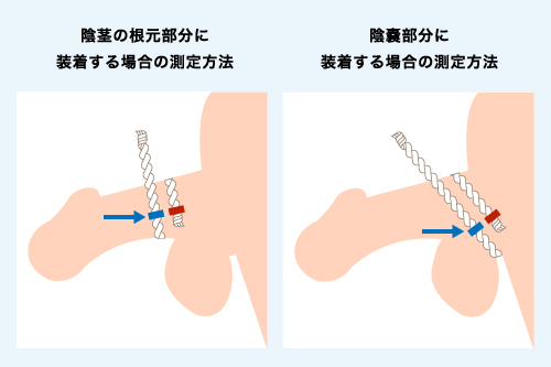 勃起の角度は何度が平均？低い原因や上向きにする方法を解説 |【公式】ユナイテッドクリニック