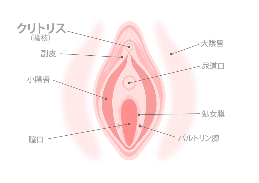 クリトリス 勃起 エロ : 無料