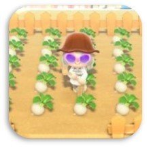 あつ森 2025年版 カブ価予測ツール丨今週の売り時を簡単予想 あつまれどうぶつの森- アルテマ