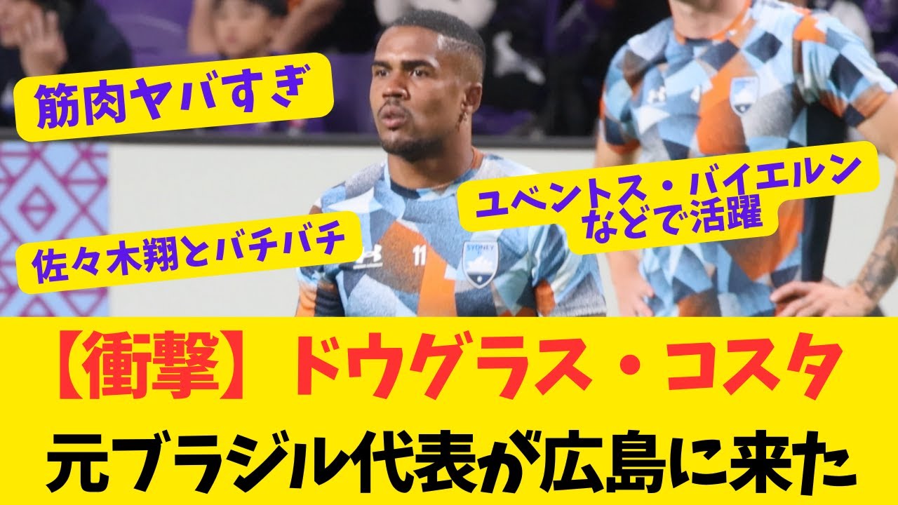 ヴィニシウス・ジ・ソウザ・コスタ - Wikipedia