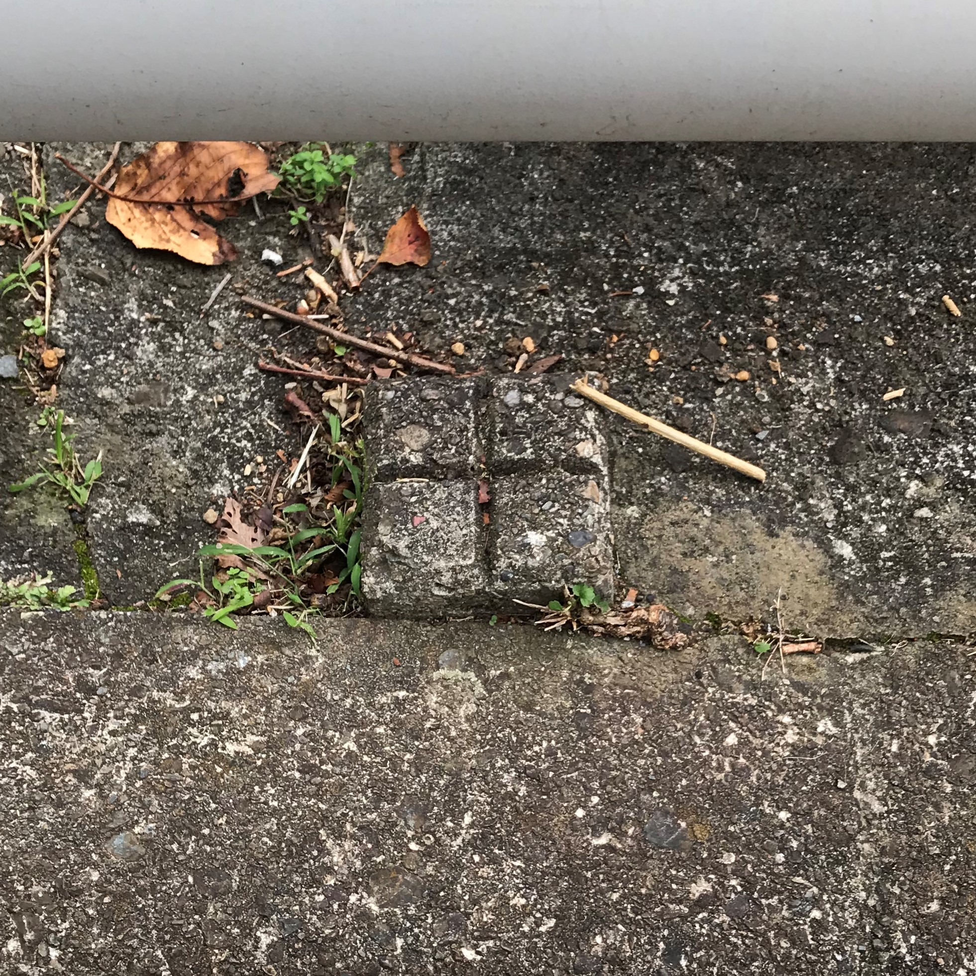 境界標の見方 – 五本木司法書士・土地家屋調査士事務所 五本木行政書士事務所