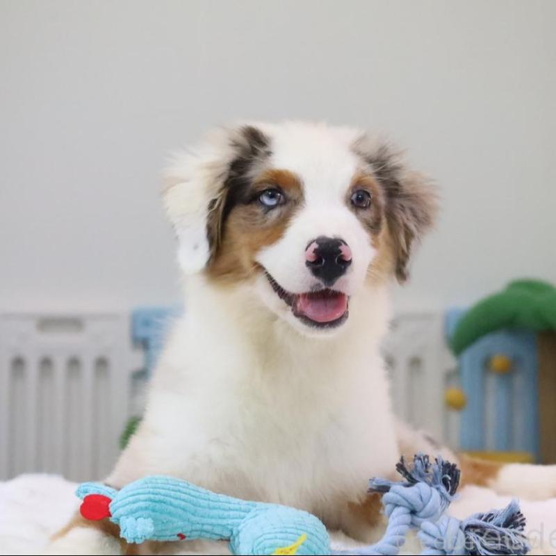 ペンキ落とし 200G 友和 洗浄剤 内容量:200gホームセンター通販はDCMオンライン