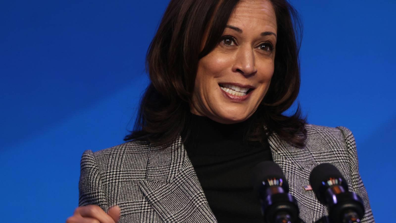 プロフィール京都市会議員 江村りさ 公式サイト 京都党右京区支部長