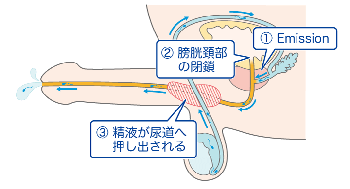 52%OFF】絶対に射精してはいけない地球連邦軍24時 ご購入 | 金モン