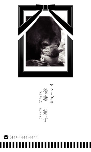 ショップ変わった名刺専門店