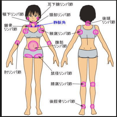 リンパの流れを図解！正しいリンパマッサージ でむくみを解消｜マガジン（美容情報・読み物）｜化粧品・スキンケア・基礎化粧品の通販｜オルビス公式オンラインショップ