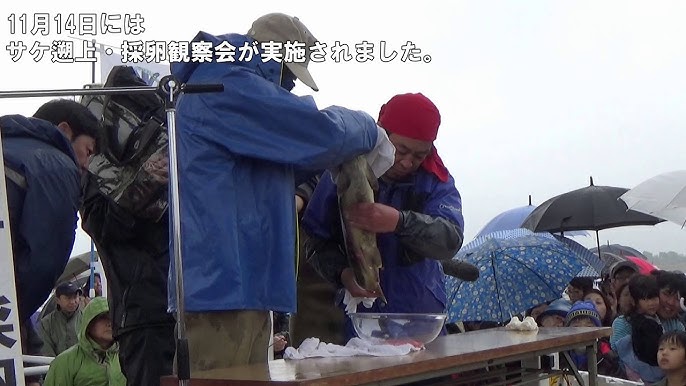 荒川の水の65％は利根川の水。1日に風呂桶900万杯が流れる 橋本淳司- エキスパート - Yahoo!ニュース