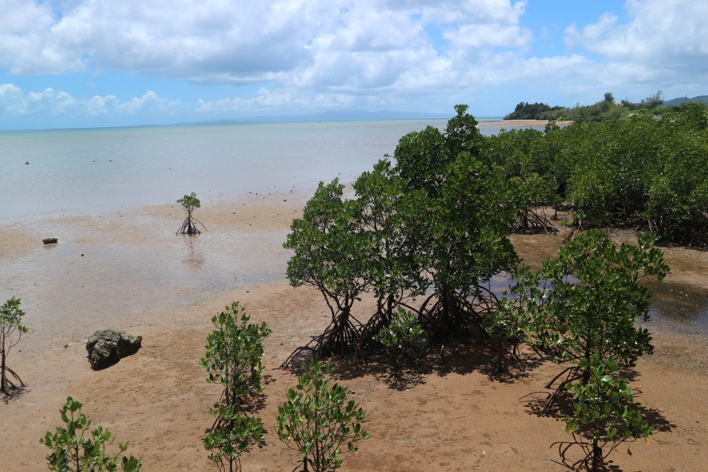 石垣島の観光スポットの名蔵 なぐら アンパルの行き方と遊び方について！ - 石垣島 ADVENTURE PiPi ピピ