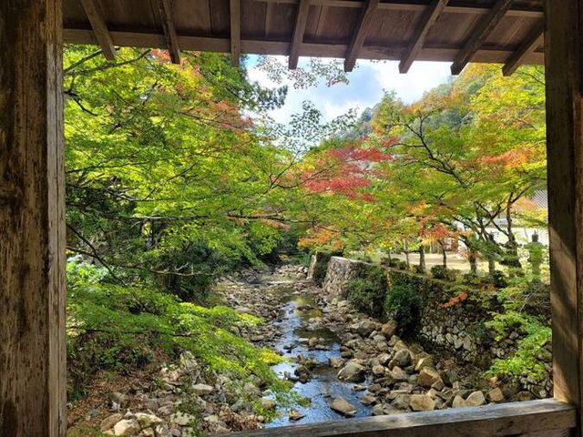 期間限定出店！佛通寺紅葉鑑賞時のお食事に 株 空・道・港 佛通寺店 旬彩おたふく三原市高坂町–MJ みはら情報局 広島県三原市の街ネタ満載地域情報サイト