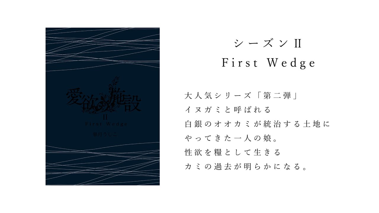 スワッピング入門」～妻が見知らぬ男に犯される時 | 寝とり/寝取られ 官能小説 8494