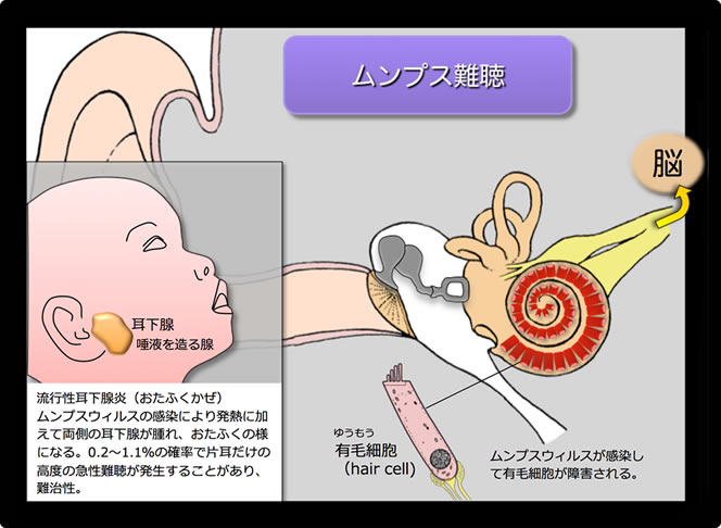 パートナーの性感帯はどこ？ 男女ともに感じる部位は…♡【男女1000人調査】 |