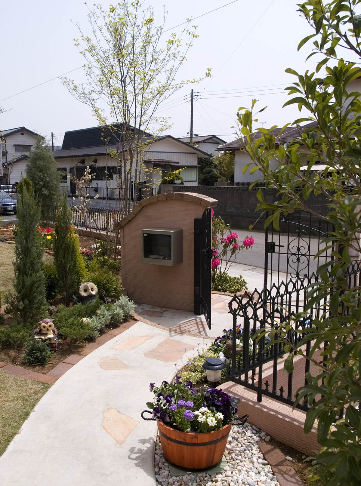 サクラソウ花壇が見頃 つくば市松見公園