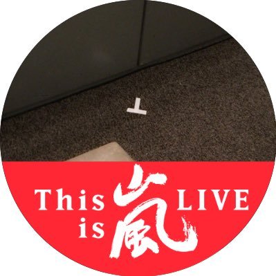 先日、会社の先輩たちがお誕生日のお祝いをしてくれたときに お店の方々と共に用意してくれていた 花束のサイズがバグでした💐 ちなみにこの日の服は全部@l_or_official です😂 実はお昼はかじまりがお祝いしてくれていたので、 また載せさせてください〜☺️🫶