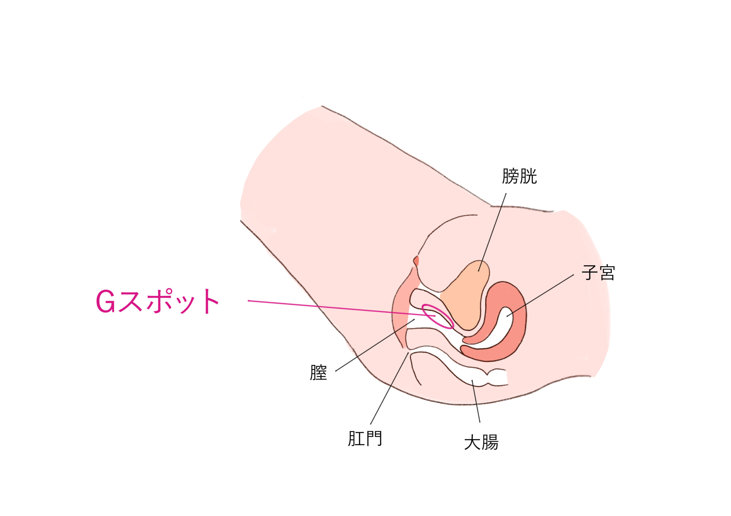 女医解説！何回もイク女性の「浅イキ」と「深イキ」の違い【恋本コラム】