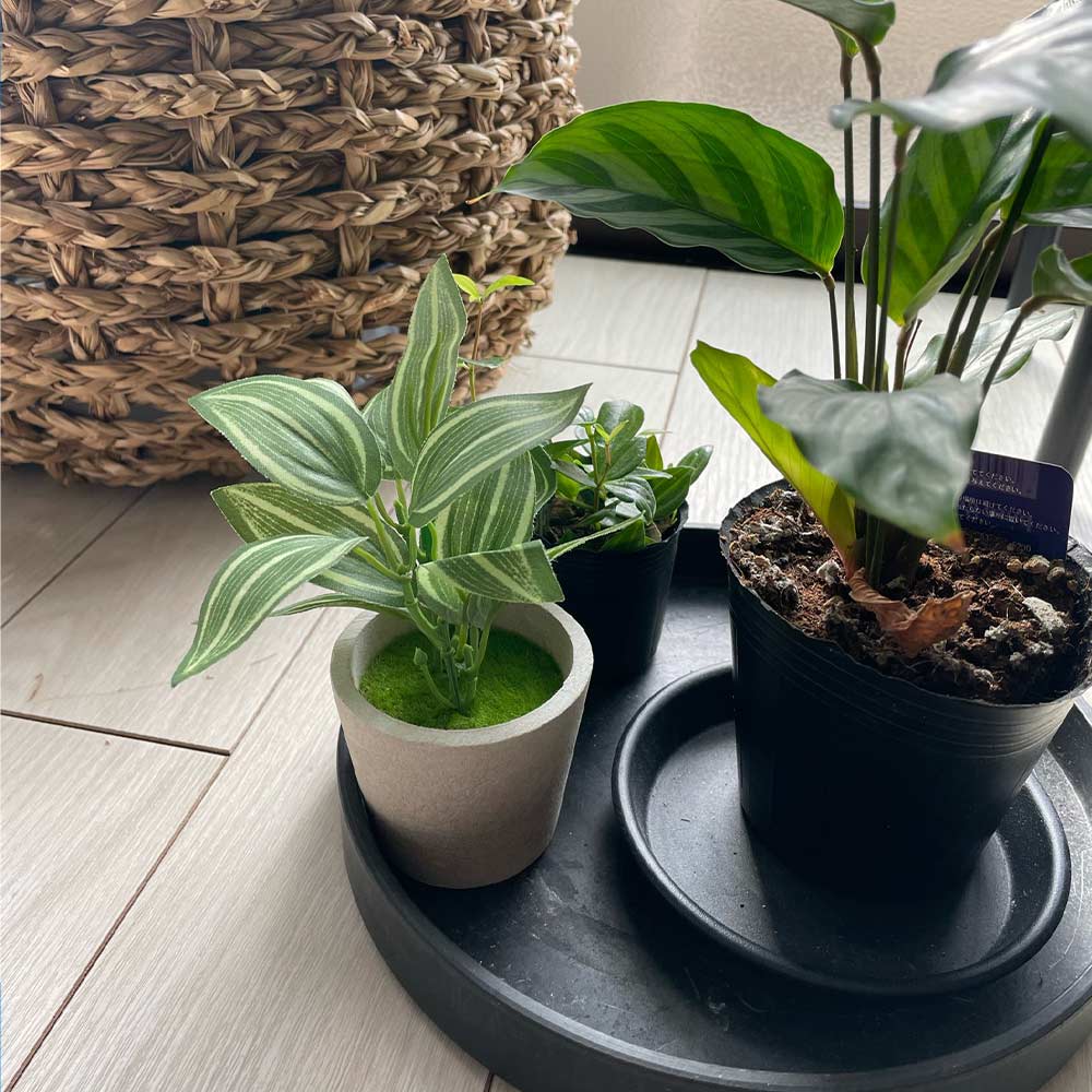 ダイソー 洗濯機周りの商品を使ったおしゃれなインテリア実例RoomClip ルームクリップ