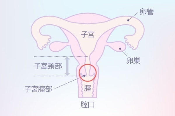 中イキのやり方とは？開発方法やコツ、オナニーやセックスでの体位などを解説｜風じゃマガジン