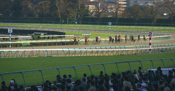 川島 壮雄 （カンテレアナウンサー）