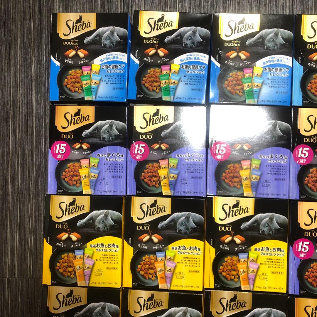 企業ロゴ・会社ロゴ作成 起業時のブランディングに役立つロゴデザイン - ロゴ制作のsynchlogo シンクロゴ