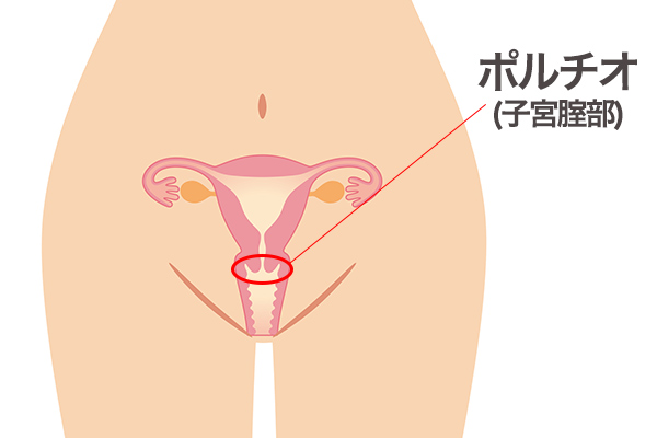 奥が気持ちいい ポルティ～オとは 何ぞや？