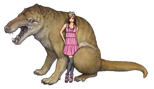 SOMANIKS ソマニクス ソマセプト L 100個入りの卸・通販ビューティガレージ