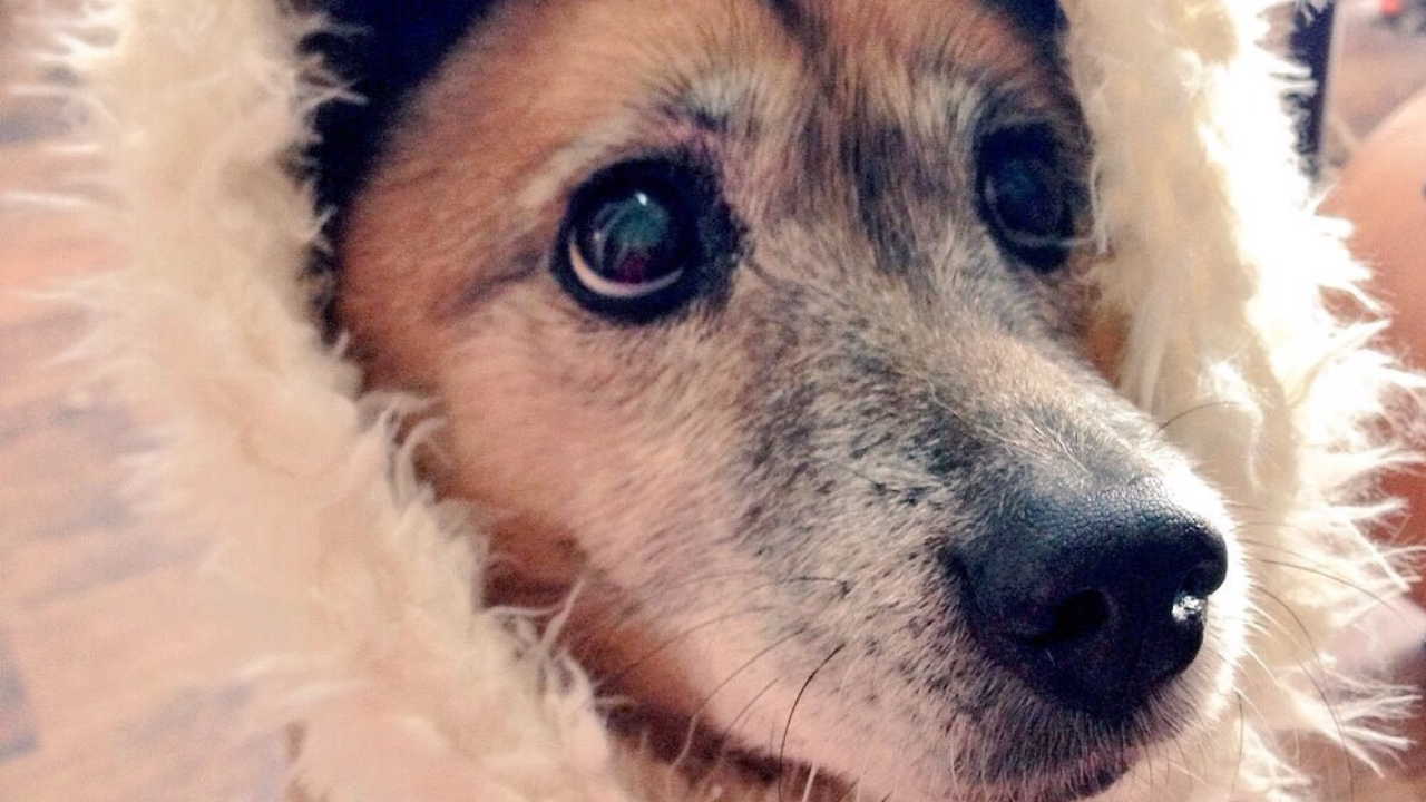 薬剤師の仕事と役割についてTikTok