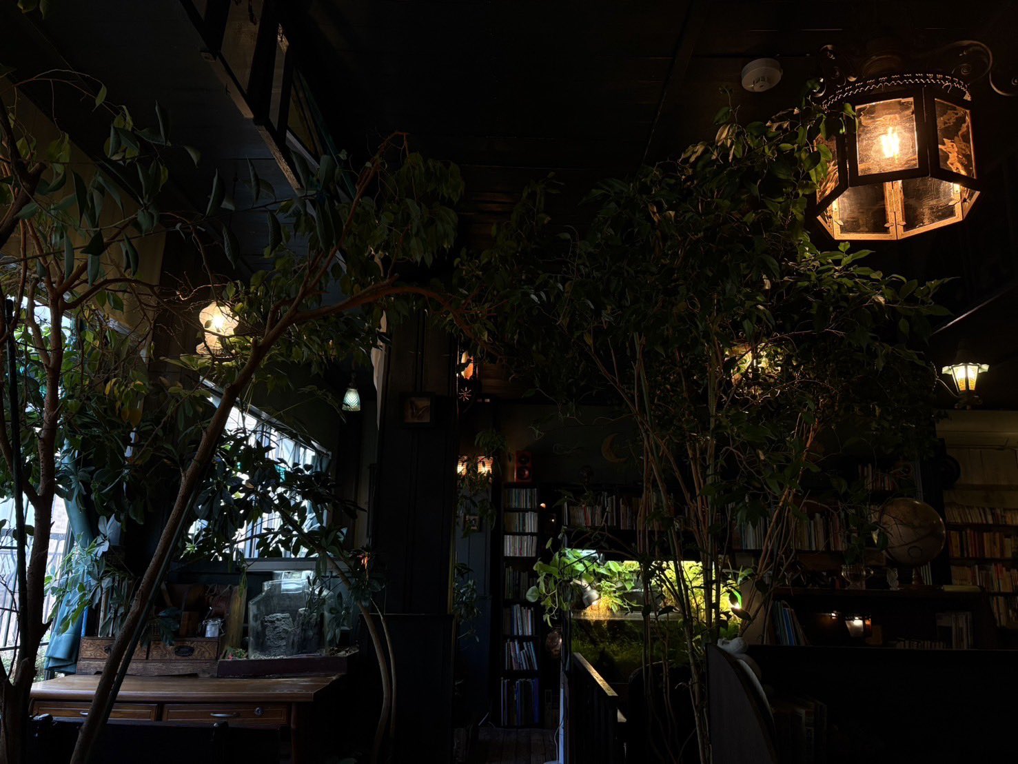 高円寺のステキすぎるカフェ「アール座読書館」が話題に 「夢の国か」「常連になりたい」と大反響ねとらぼ