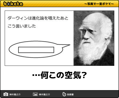 cobato コバト メッセージカード やきそば 蒸し 風 おもしろ雑貨 面白いグッズ プレゼント 文房具 文具 かわいい ユニーク おしゃれ ミニ封筒付き : オリーブアベニュー - 通販 - Yahoo!ショッピング