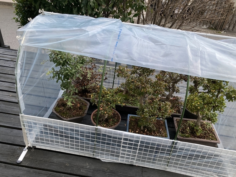 ビニールハウス ビニールハウスを自作してみよう！必要なものと作り方 - 農業メディア