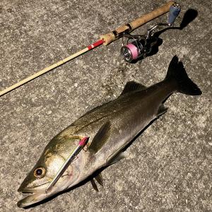 ぼらすたちゃんねるvol.1 高橋和佳奈ピースボートセンターとうきょうのスタッフブログ