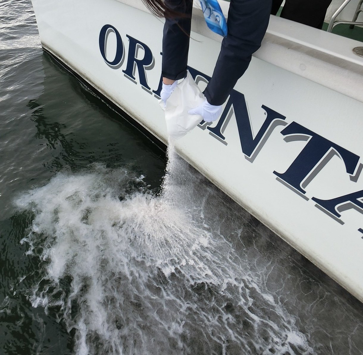 オランダ人の憧れ「ハウスボート」水上のタワマン？究極の水上豪邸に行ってみた アムステルダムサライ.jp小学館の雑誌『サライ』公式サイト