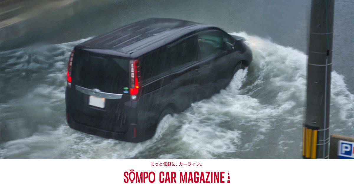 豪雨水害リスク増加も 車両保険加入率と入るべき理由カードラネット