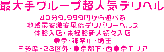 大正期 絵葉書 「多磨墓地・小金井路」多摩霊園 風俗