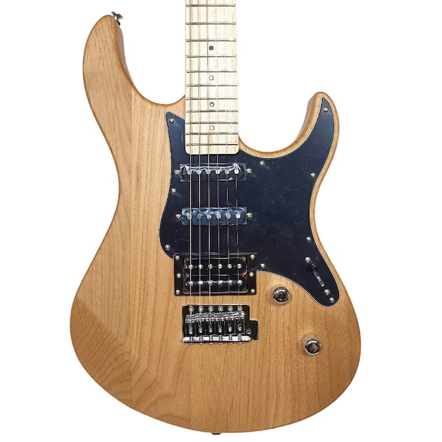 初心者向けのエレキギター おすすめの選び方！楽器店員が解説！Ikebe MUSIC INFORMATION