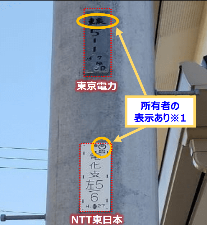 今夜も無芸大食 鳥害対策