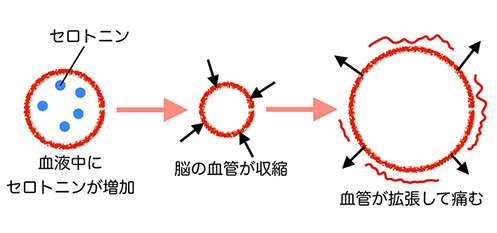 科学に裏付けされた「自慰行為のメリット」とは？ - GIGAZINE