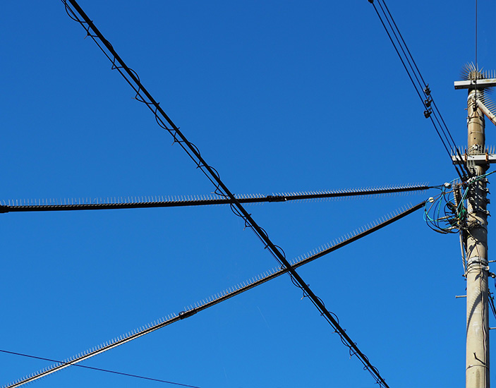建売住宅の玄関周り〜鳥のフン被害〜電力会社に鳥よけを設置してもらったさくさくっくの盛らない日常