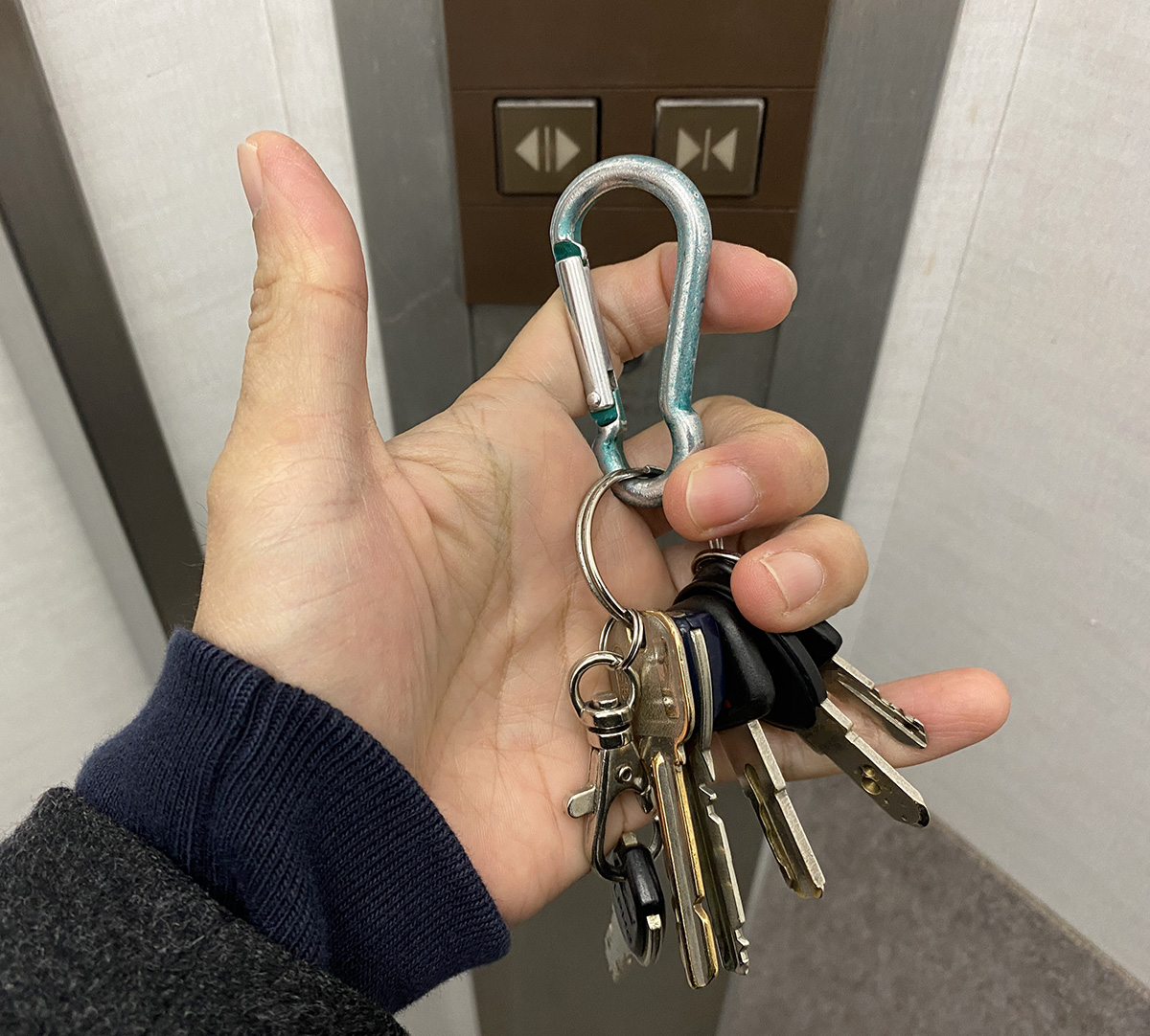 ネコが「ぴょん」と飛び出す！ダイソーで話題の激カワ「フック」東京バーゲンマニア