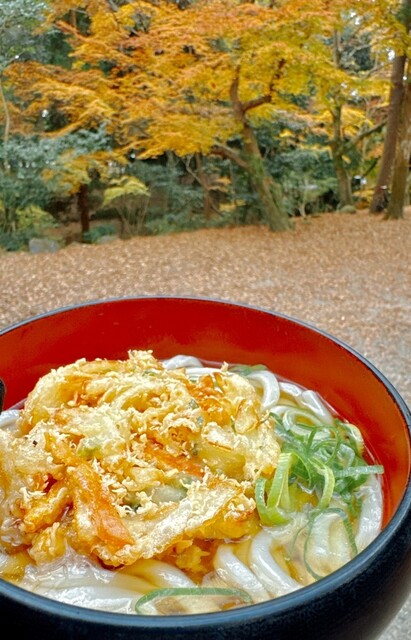 水谷茶屋奈良市の口コミ46件 - トリップアドバイザ