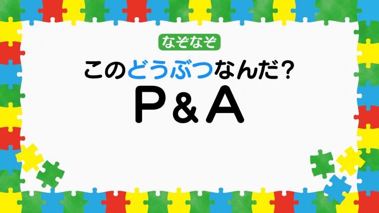 なぞなぞ出題ポスター