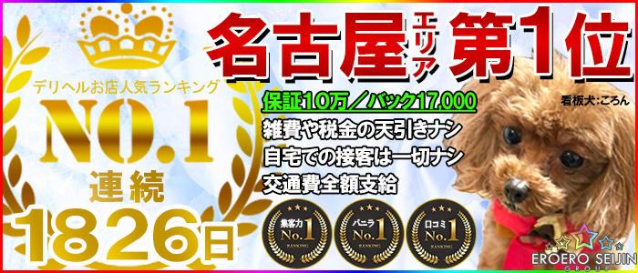 人気ランキング50選 - 東海・中部の高級デリヘル｜高級デリヘル専門 HILLS