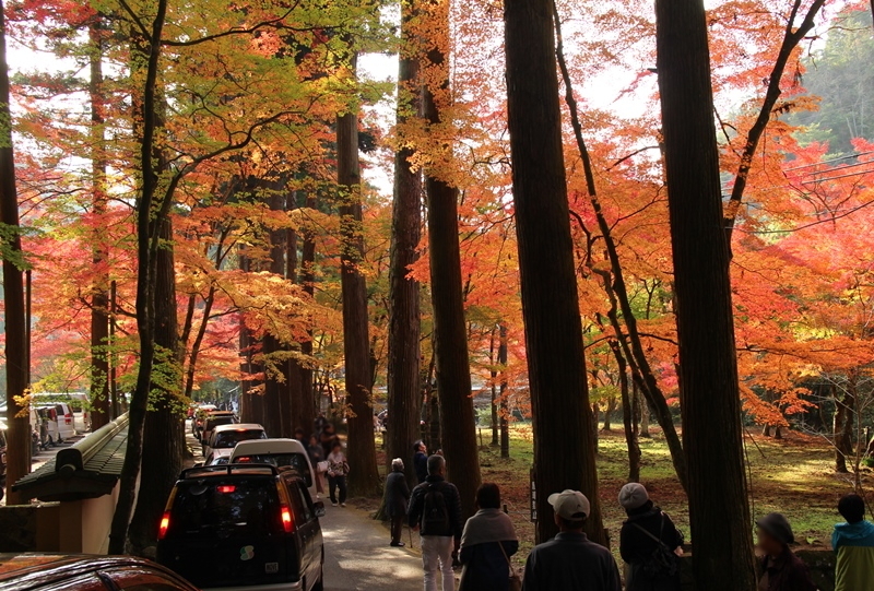 ひろしまの秋2018～佛通寺の紅葉～』三原 広島県 の旅行記・ブログ by momoneneさん フォートラベル