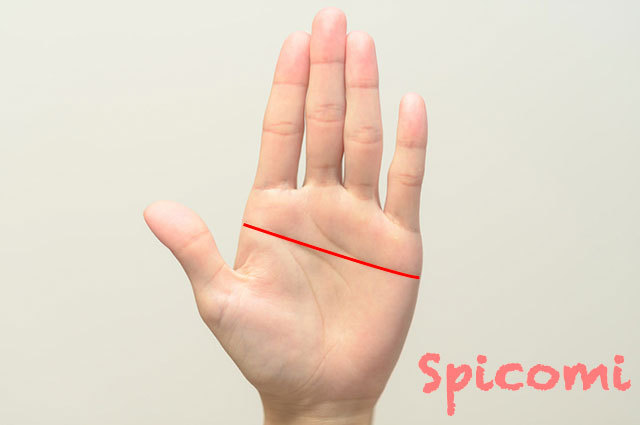 宝くじで高額当選が狙える金運最強の手相！一攫千金で億万長者の道へ - YouTube