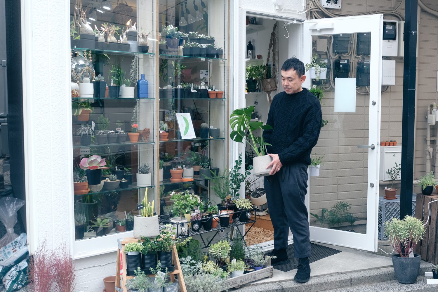 多肉植物の仕事・求人 - 関東求人ボックス