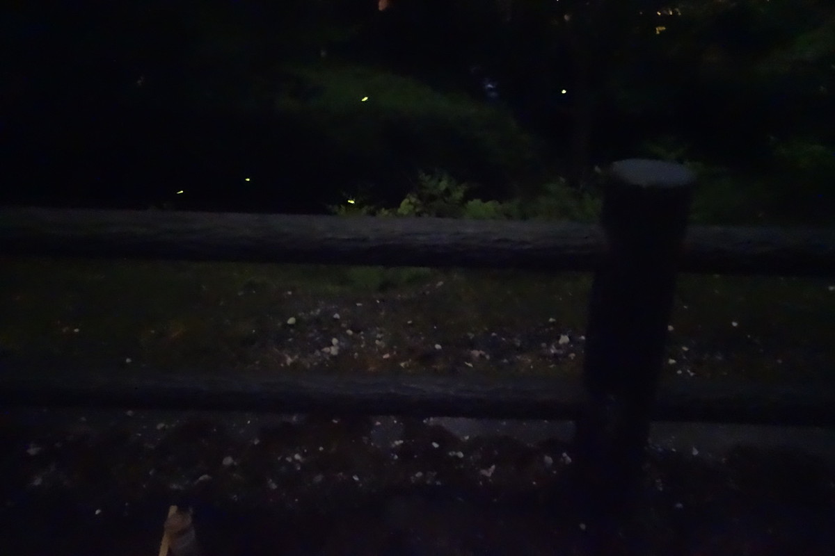 東大寺の参拝者用無料駐車場 と奈良公園から徒歩15分圏内の安いオススメ駐車場を‥お知るぅ？東大寺-御朱印