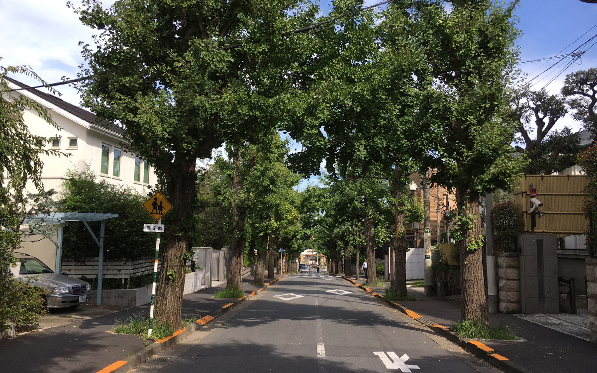 決定版 東京の高級住宅街。富裕層が好むブランドエリアとはクラフト