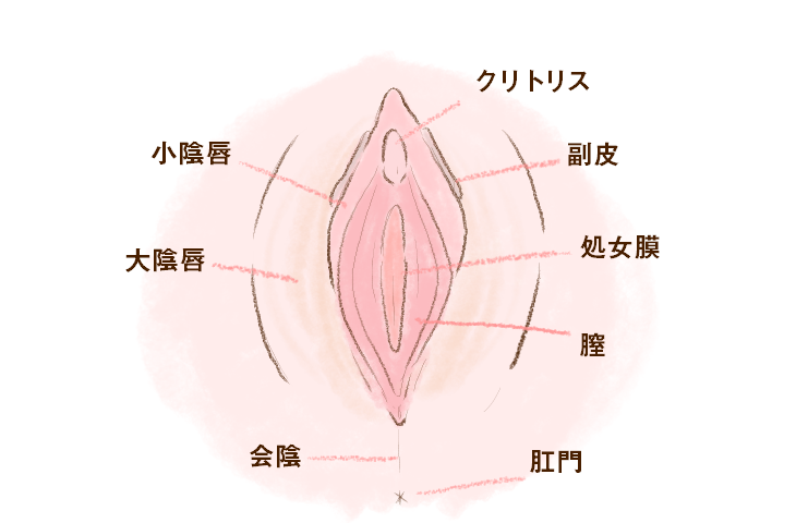 女性が最も感じやすい性感帯、クリトリスへの愛撫方法や注意点