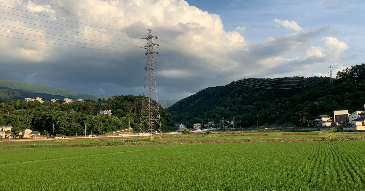 東京から地方に来て印象深いことやまもも