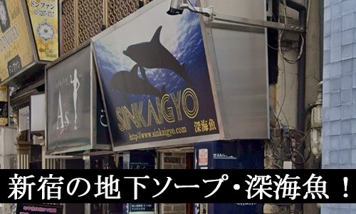 新宿 深海魚 on X: 