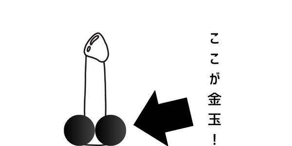 ちんこから膿が出てきたら 病気の診断方法と治療方法を解説します | 泌尿器科｜GOETHE メンズクリニック東京駅